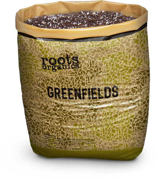 Roots Org Green Fields Loose