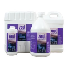 Soul Synthetics Big Swell 2-5-3