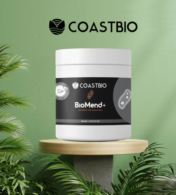 Coast Bio Mend Plus