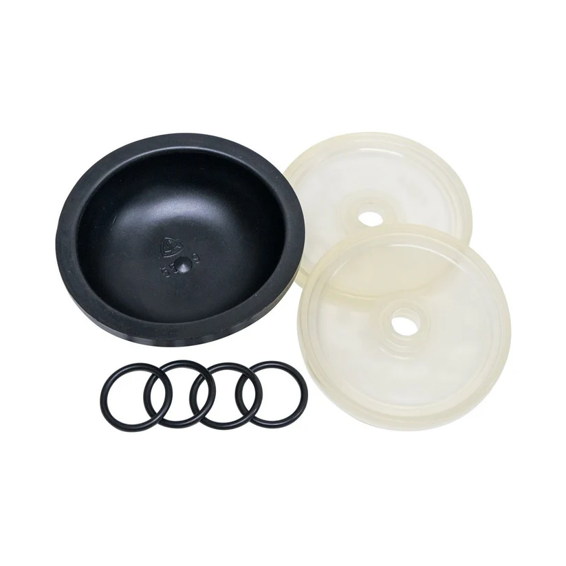 Hypro Diaphragm Kit D30 9910-KIT 1724