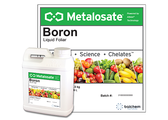 Metalosate Boron 5% 1gal