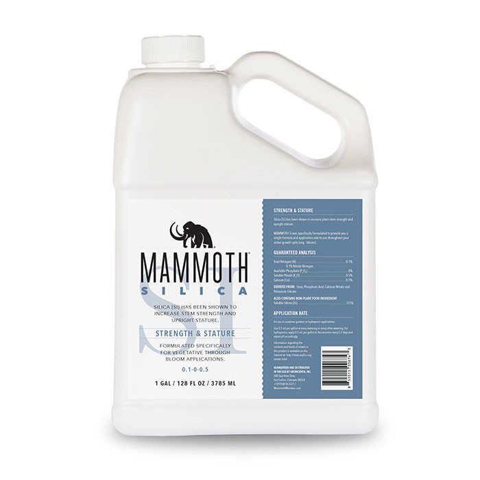 Mammoth Silica 1gal DISCONTINUED