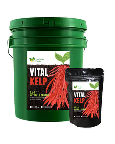 Vital Kelp Meal 55lb bag